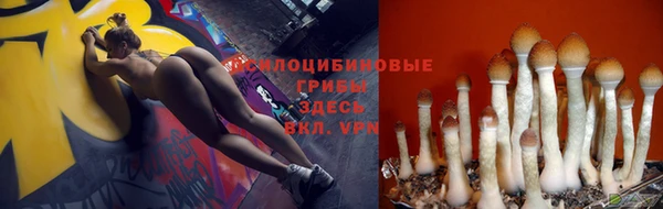 винт Алексеевка