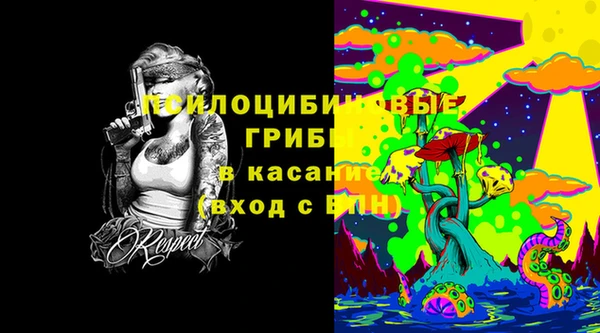 винт Алексеевка